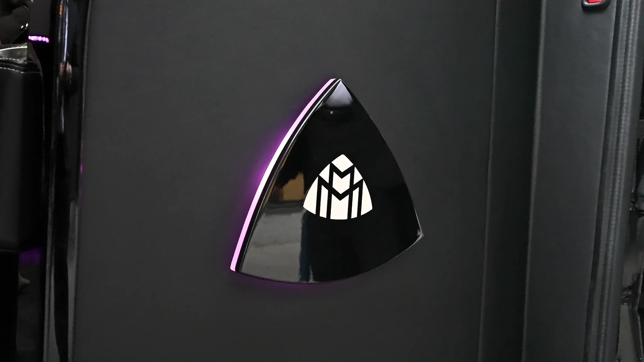Lit Marquee crest on the door panel of the Sprinter Jet Limousine