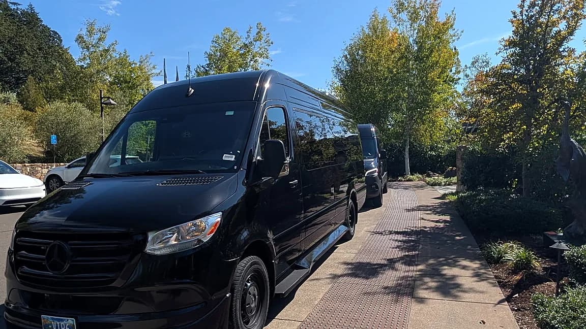 Black Mercedes-Benz Sprinter on a tree-lined driveway — group chauffeur transportation