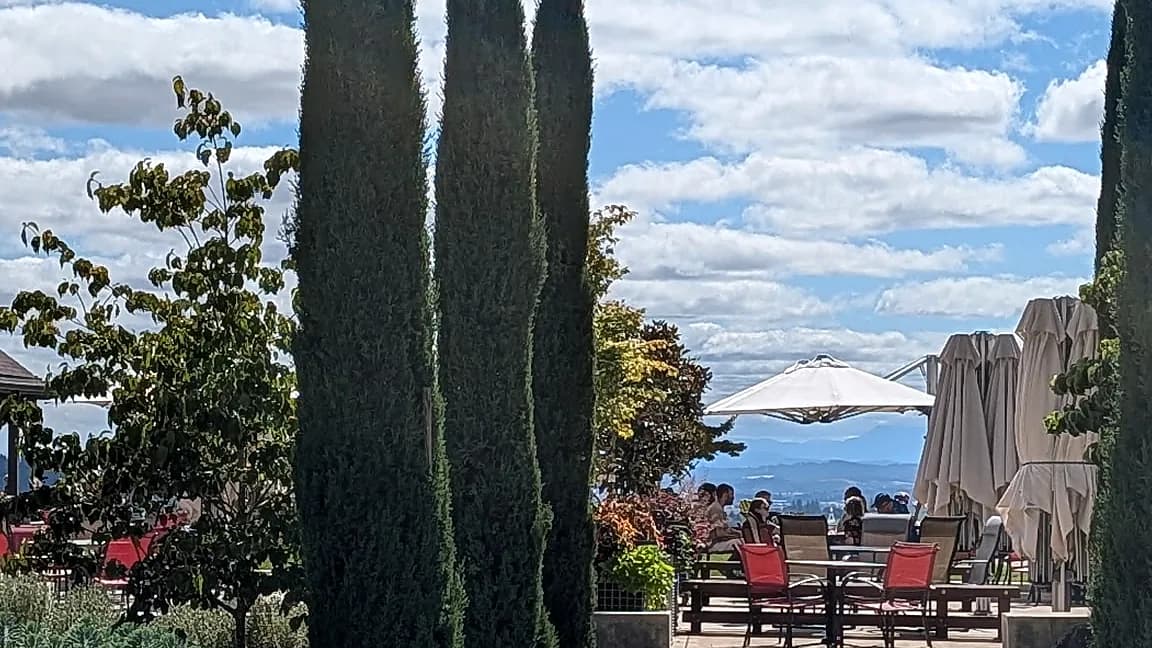 Cypress-lined winery patio with umbrellas and hillside view — wine tour tasting stop