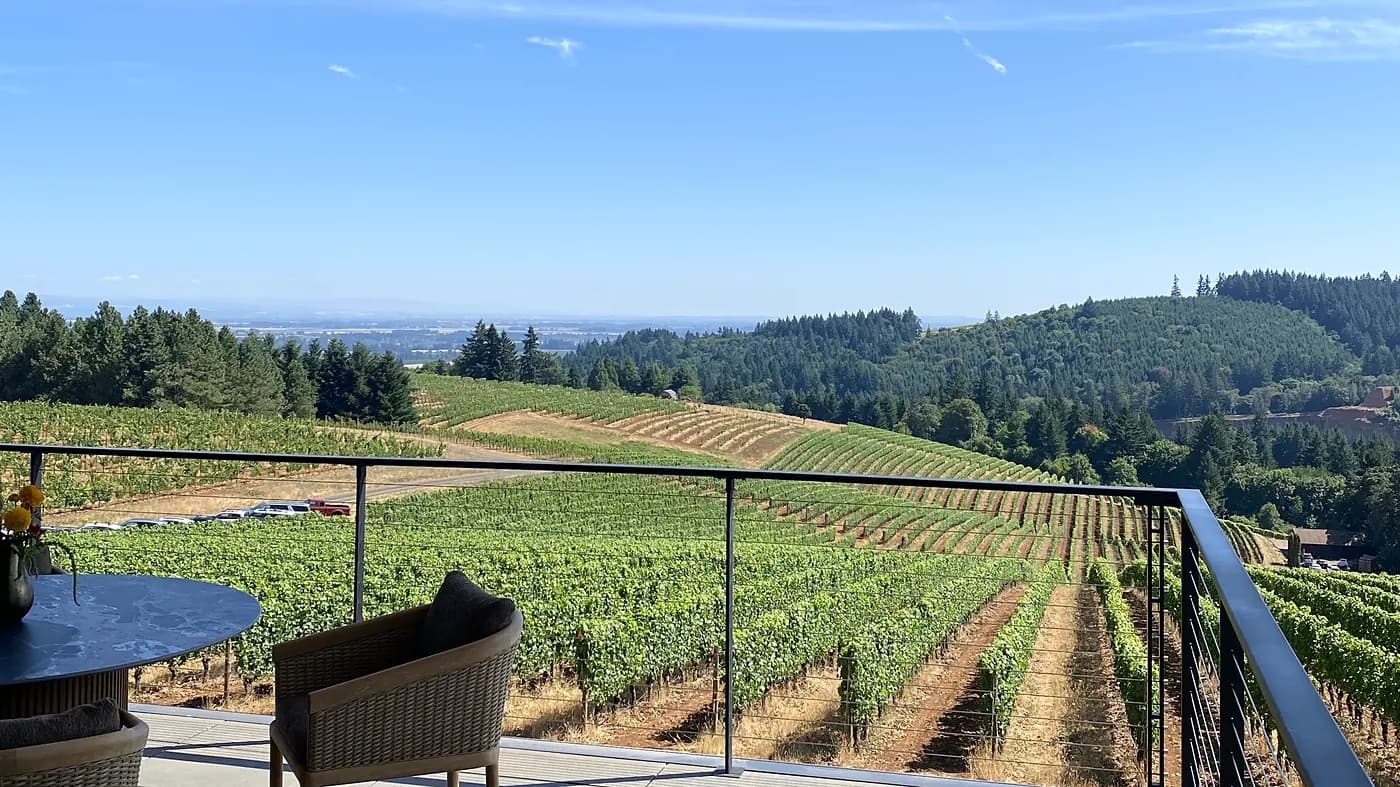 Shaded winery terrace with chairs overlooking vineyard rows and hills — boutique wine day trip stop